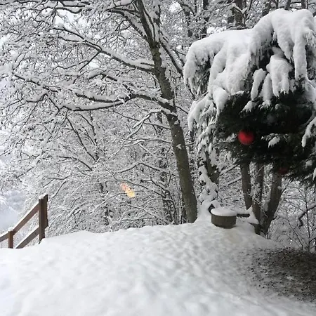 Chalet Les Asters